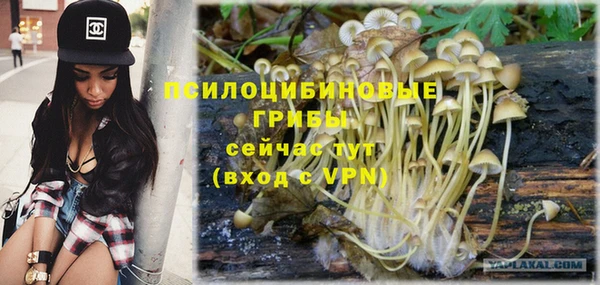 дживик Абинск