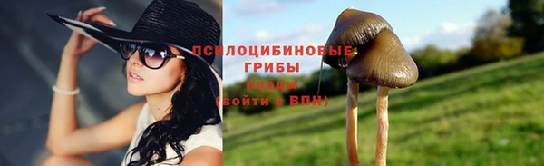 дживик Абинск