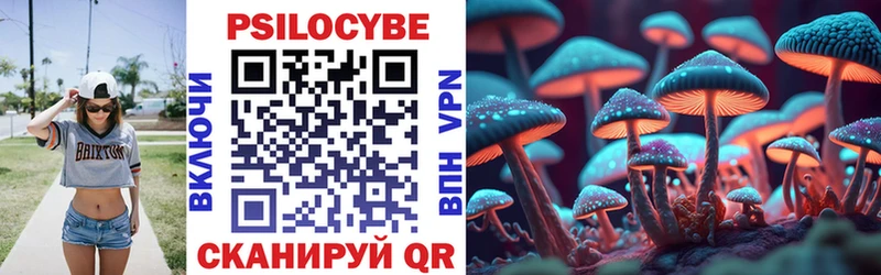 Галлюциногенные грибы Psilocybine cubensis Ртищево